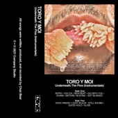 Toro Y Moi - Go With You (Instrumental)