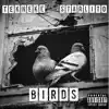 Birds (feat. Starlito & Bigg A) - Single album lyrics, reviews, download