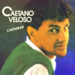 Caetano Veloso - Menino do Rio