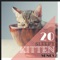Cute - Pet Couture lyrics