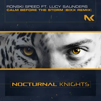 Calm Before the Storm (feat. Lucy Saunders) [Bixx Remix] - Single by Ronski Speed album reviews, ratings, credits