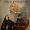 No Hay Palabras (feat. Burning Caravan) - Single, 2020