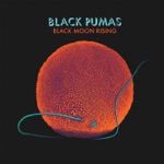 The Black Pumas - Black Moon Rising