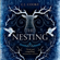 C.J. Cooke - The Nesting