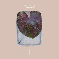 Le Youth - Colour artwork