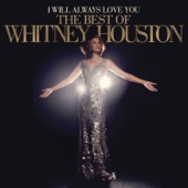 Whitney Houston - I'm Your Baby Tonight