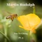 Know When To Stop (feat. Selina Rudolph) - Martin Rudolph lyrics