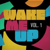 Wake Me up, Vol. 1 artwork