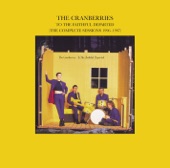Go Your Own Way by The Cranberries