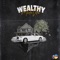 Wealthy - Mixta Vitae lyrics