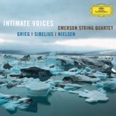 String Quartet in G Minor, Op. 27: I. Un poco andante - Allegro molto ed agitato artwork