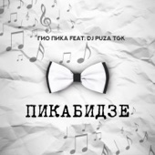 Пикабидзе (feat. Dj Puza TGK) artwork