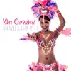Viva Carnival: Brazil Latin Hits, Electro Brazil Lounge, Hot Party in Río, Dancing Drums album lyrics, reviews, download