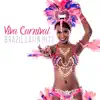 Stream & download Viva Carnival: Brazil Latin Hits, Electro Brazil Lounge, Hot Party in Río, Dancing Drums