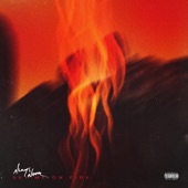 Set Me on Fire artwork