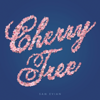 Sam Evian - Cherry Tree / Roses - Single artwork