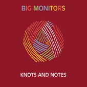 Big Monitors - Hunk Pappa Blues / Junk Meal