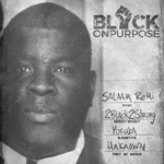 Salaam Remi - Black On Purpose Outro (feat. Sandra Bland)