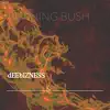 Stream & download Burning Bush - Single