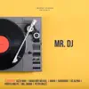 Mr DJ - Single album lyrics, reviews, download