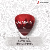 Ae Kash Ke Hum (Jammin') artwork