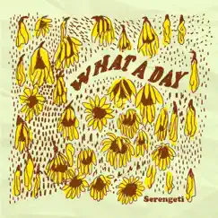 What a Day Part 1 - Single by Serengeti album reviews, ratings, credits