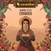 Cumbia Sur (Vico) artwork