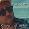 Csepereg az eső (Paródia) - Single