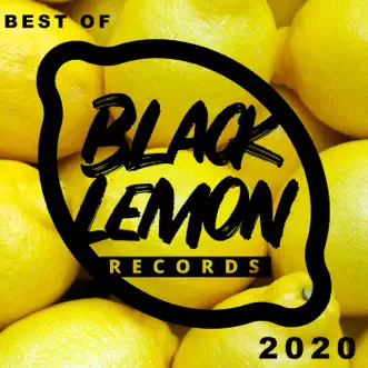 Best of Black Lemon Records 2020 by Various Artists album reviews, ratings, credits