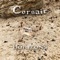 A Voice Surrendered - Corsair lyrics