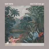 Don't Let Me Go artwork