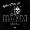 No Harm (feat. 2K Foozie) - Single album lyrics, reviews, download