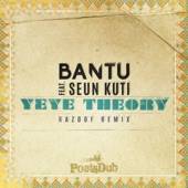 Yeye Theory (feat. Seun Kuti) [Razoof Remix] artwork