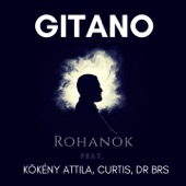 Rohanok (feat. Kökény Attila, Curtis & DR BRS) [Rohanok a szívem után] artwork