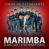 Marimba Alma Lira la Internacional - Amor de Estudiantes