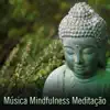 Música Mindfulness Meditação: Para Eliminar o Stress e Ansiedade, Música para Relaxar Profunda e Meditação Budista, Reiki e Yoga album lyrics, reviews, download