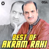Best of Akram Rahi artwork