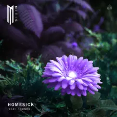 Homesick (feat. Soundr) Song Lyrics