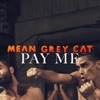 Pay Me - Single