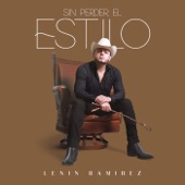 Sin Perder el Estilo artwork