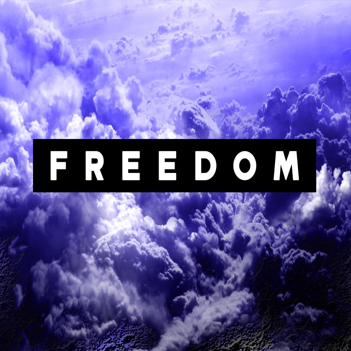 Freedom ютуб. Фридом песня. Freedom песня.