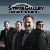 Steve Gulley & New Pinnacle - Hello Goodbye