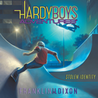 Franklin W. Dixon - Stolen Identity artwork