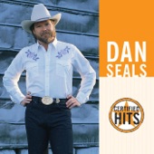 Dan Seals - Everything That Glitters Is Not Gold