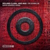 I'm Going In (David Herrero Remix) - Single