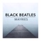 Black Beatles - The Mayries lyrics