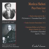Liszt's Transcendental Etudes Versions 1827 & 1852 artwork