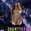 Shawty Bad - Single album lyrics, reviews, download