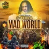 Mad World - Single