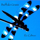 Ric Gillman - Buffalo Grass
